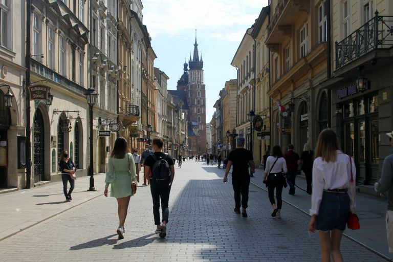 Warszawa: Wycieczka do Kopalni Soli w Krakowie i WieliczcePrywatna wycieczka