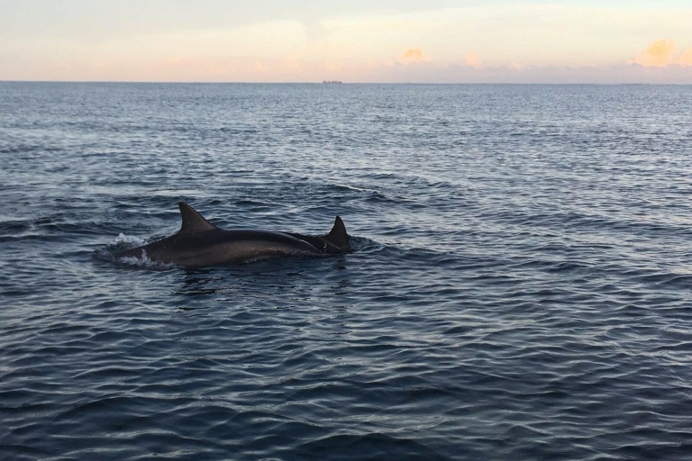 Mauritius: Private South Side en Dolphin Adventure Tour