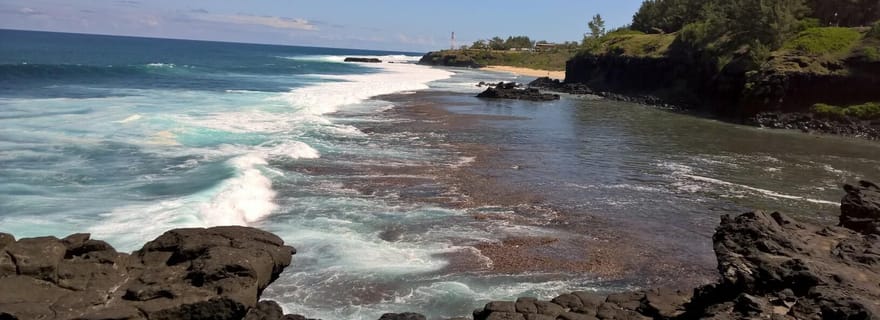 Maurice : Circuit privé côté sud et aventure avec les dauphins