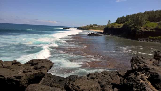 Île maurice visite privée du côté sud et des dauphins