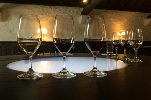 Porto: 3-Hour Guided Wine-Tasting Tour Tour in French