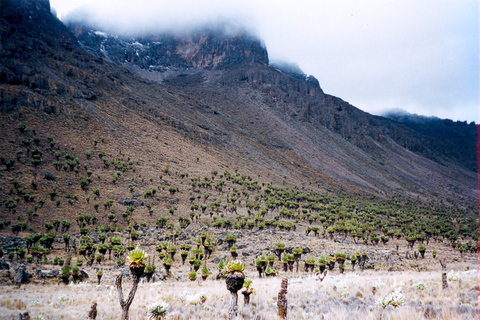 EXCURSIÓN DE UN DÍA AL MONTE KENIA DESDE NAIROBI