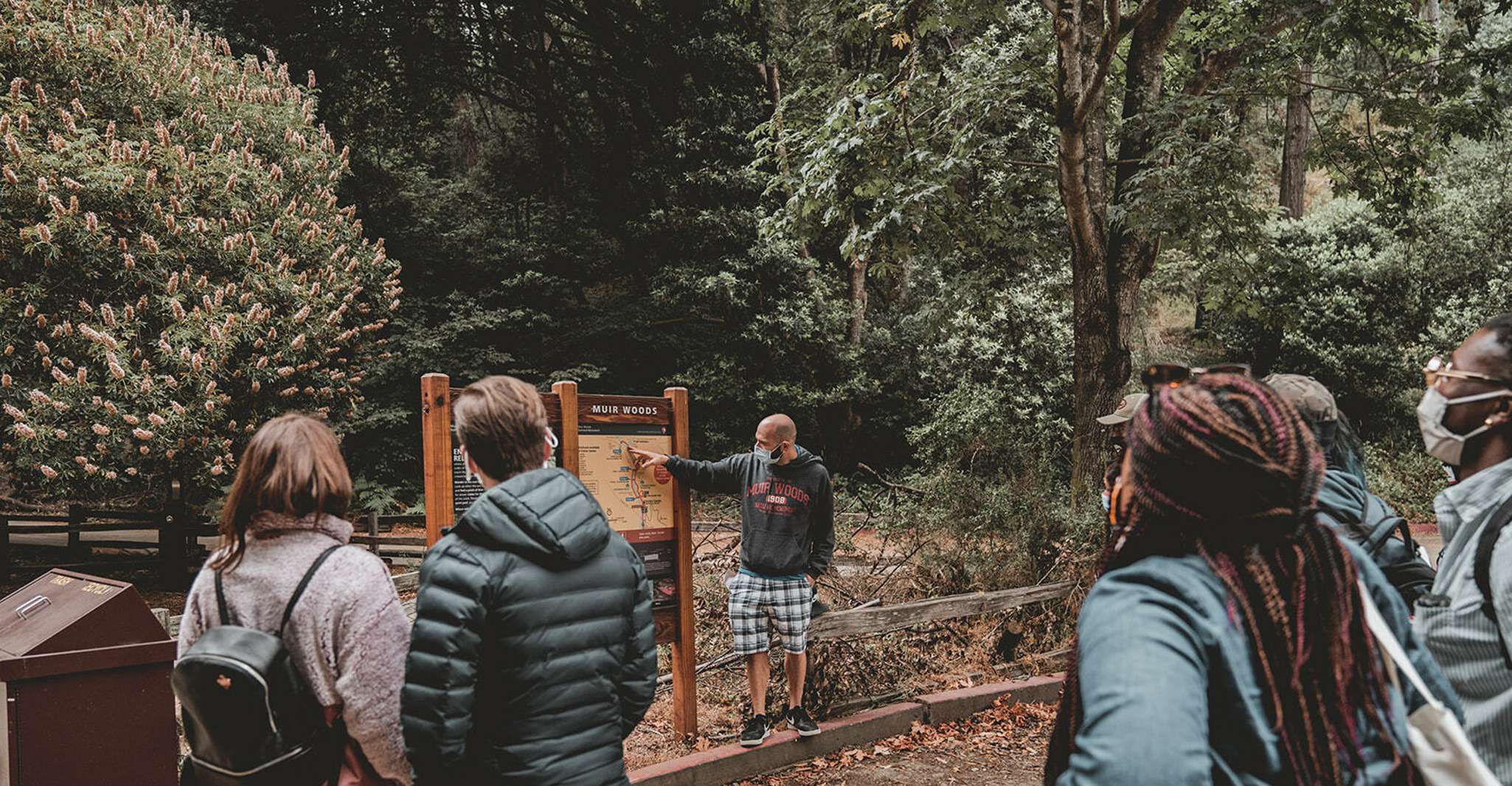 From San Francisco, Muir Woods Redwood Forest Tour - Housity