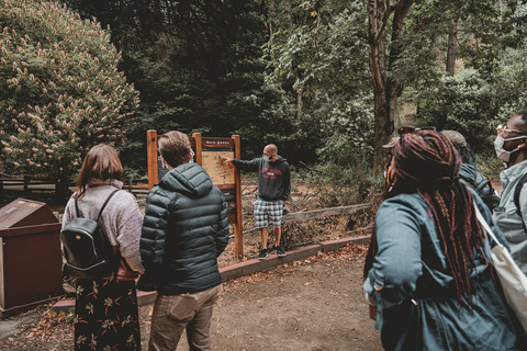 Desde San Francisco: tour de secuoyas Muir WoodsTour en grupo por la mañana