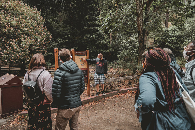 Desde San Francisco: tour de secuoyas Muir WoodsTour en grupo por la mañana