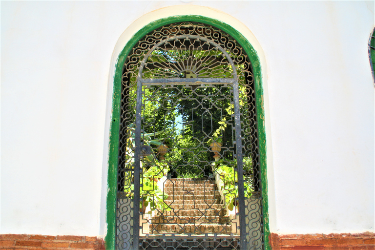 Granada: rondleiding door de tuinen van CarmenesGranada: stadsrondleiding door Cármenes