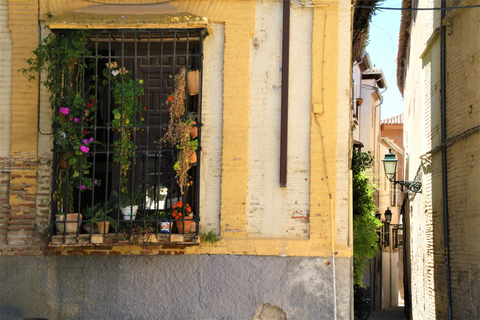 Granada: Gardens of Carmenes Guided Tour Granada: City Cármenes Guided Tour