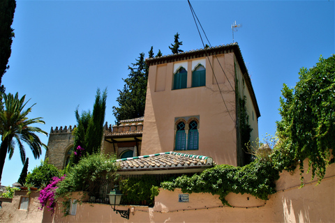 Granada: Gardens of Carmenes Guided Tour Granada: City Cármenes Guided Tour