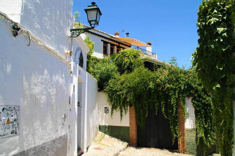 Granada: Wycieczka z przewodnikiem po ogrodach CarmenesGranada: Wycieczka z przewodnikiem po mieście Cármenes