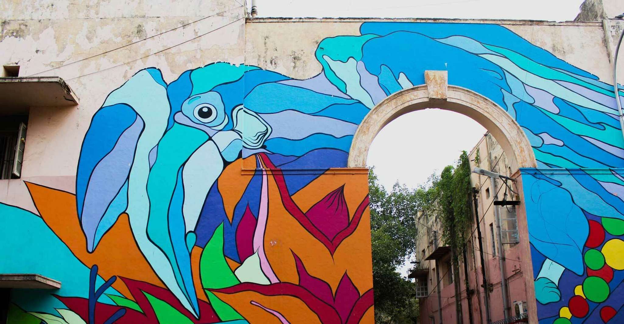 Delhi Street Art Tour - Hizvo