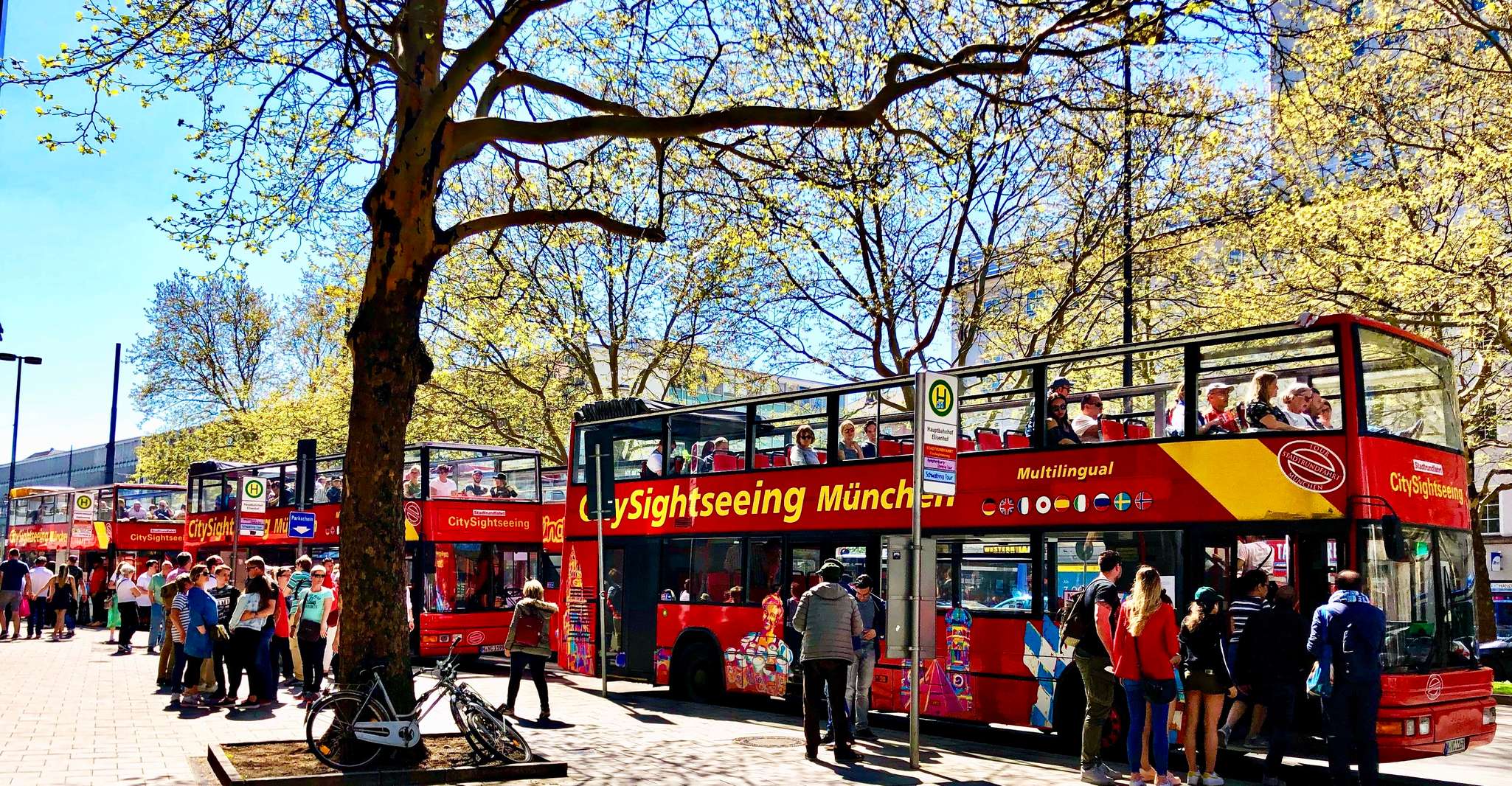 Munich HopOn HopOff Tour 1Day or 2Day Ticket Munich, Germany TourMega