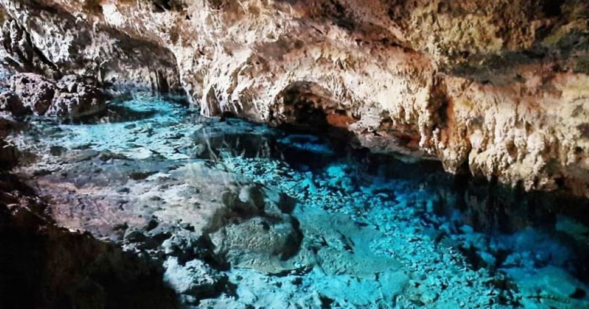 Kuza Cave, Paje Beach, Blue Lagoon, The Rock, Horse Riding | GetYourGuide