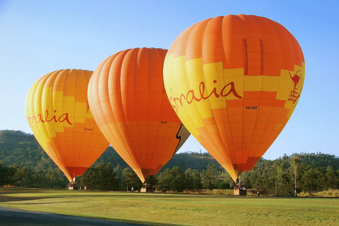 Brisbane: Voo de balão de ar quente com café da manhã em um vinhedoBrisbane: voo de balão de ar quente com café da manhã na vinha