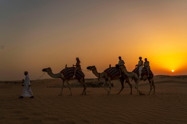 Dubai: Safari serale nel deserto con giro in cammello e osservazione delle stelleTour condiviso con vista sul tramonto