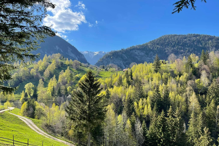 Brașov: Mountain Villages Scenic Drive with Guide