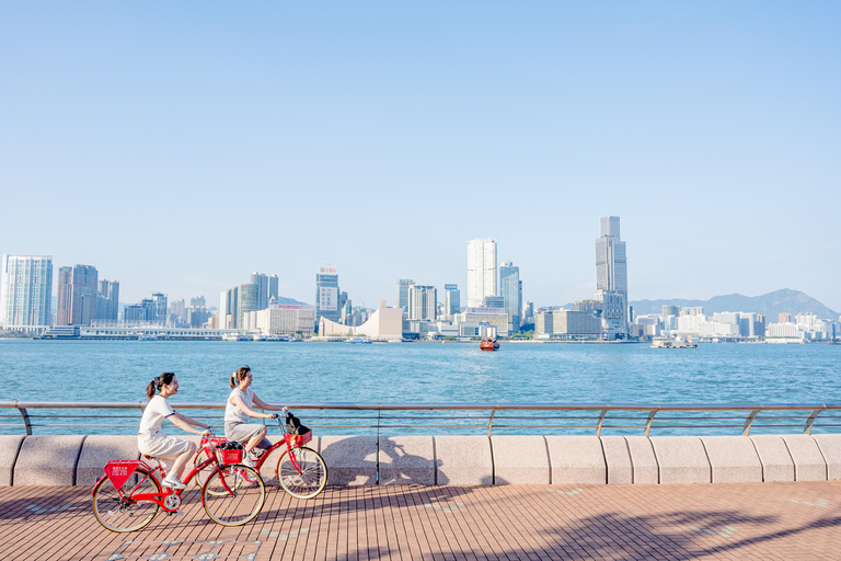 Victoria Harbour Shoreline Bike + Street Food Half-day Tour