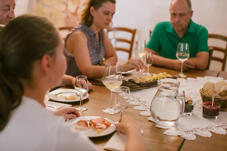 Mezzocorona: Teroldego Vineyard Tour and Wine Tasting Italian