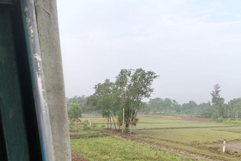 From Kolkata: Gangasagar Pilgrimage Day Tour with Ferry Ride