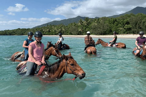 cape tribulation 2hour beach and rainforest horseback ride
