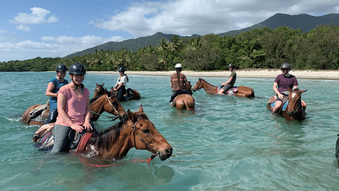 cape tribulation 2hour beach and rainforest horseback ride