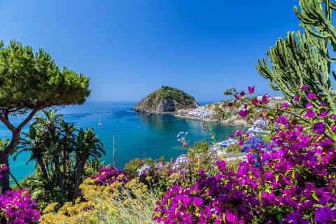 From Naples: Ischia Day Trip with Ferry Tickets and Lunch