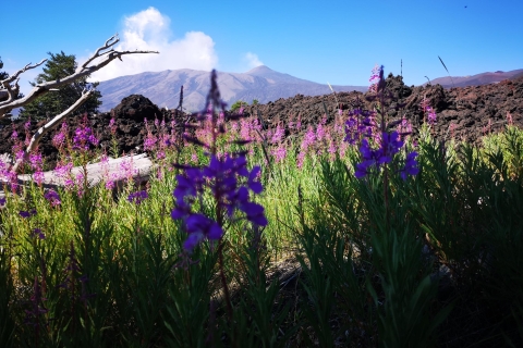Monte Etna: cráteres de la excursión de senderismo de la erupción de 2002