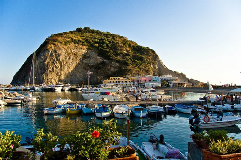 De Nápoles: Passeio de um dia em Ischia com passagens de balsa e almoçoDe Nápoles: Viagem de 1 dia a Ischia com ingressos para a balsa e almoço