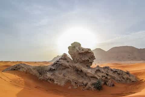 Mleiha Desert Safari with Sandboarding, Stargazing & Dinner