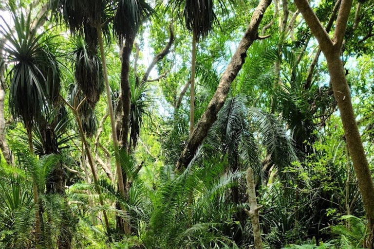 PARQUE NACIONAL DEL BOSQUE DE JOZANI Y GRANJA DE ESPECIAS