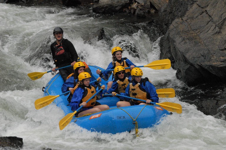 Bali: Tour del fiume Ayung con rafting e altalena nella giungla con trasferimentoDal centro di Bali: tour con altalena nella giungla e trasferimento