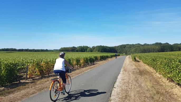 amboise tour in bici elettrica della valle della loira senza guida con degustazione