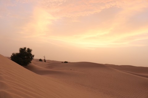 Dubái: safari matutino por el desierto con paseo en camello y sandboardTour privado