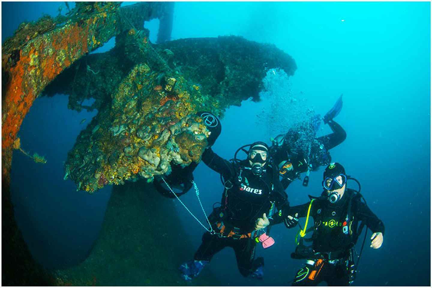 Catania: Gulf Scuba Diving Tour with Marine Biologist