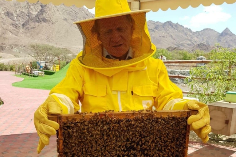 Hatta Safari et visite du jardin des abeillesVisite de groupe partagée