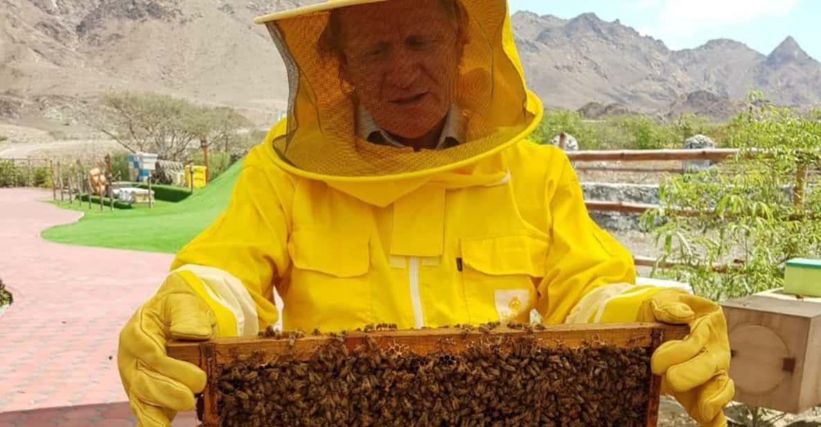 Hatta Safari e visita al giardino delle api da miele