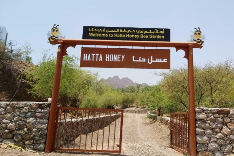 Hatta Safari y visita al jardín de abejas melíferasTour privado