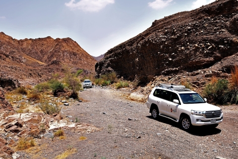 Desert Drive & Besuch des Wadi Shawka PoolsPrivattour 2020