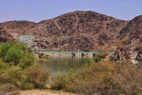 Desert Drive & Wadi Shawka Pool BezoekPrivé Tour 2020