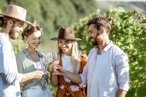 Klassische Weinverkostungs-Tour in BeratVon Berat aus: Weinverkostungstour