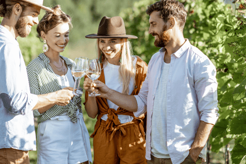 Visite classique de dégustation de vins de BeratDe Berat: visite de dégustation de vin