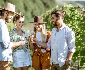 From Berat: Guided Winery Tour with Transfers and Tastings