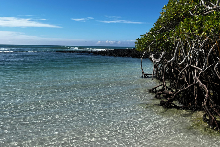 Galápagos: Sightseeing Tour to Tortuga Bay with Crystal-Clear Waters and Kayak