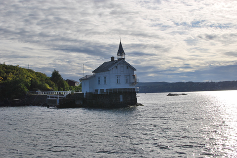 Oslo: Norwegian Lunch Cruise On The Fjord