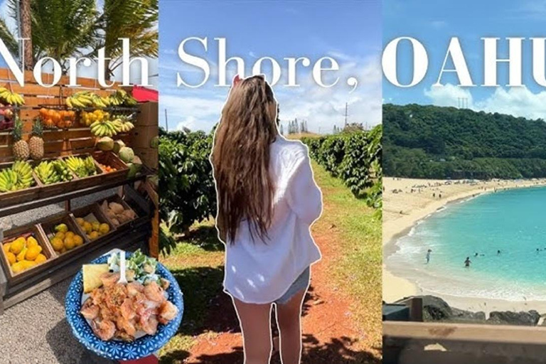 Oahu: Full-Day Tour with Snorkeling, Free Wi-Fi & Free Perks