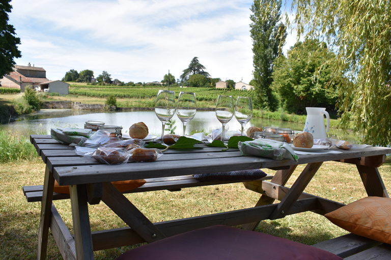 De Bordeaux : visite gastronomie et vins de Saint-Émilion