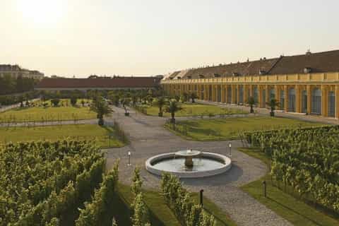 Vienna: concerto di musica al castello di Schönbrunn con vino