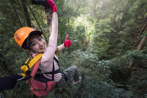 San Jose: Arenal Volcano Zipline & Baldi Hot Springs