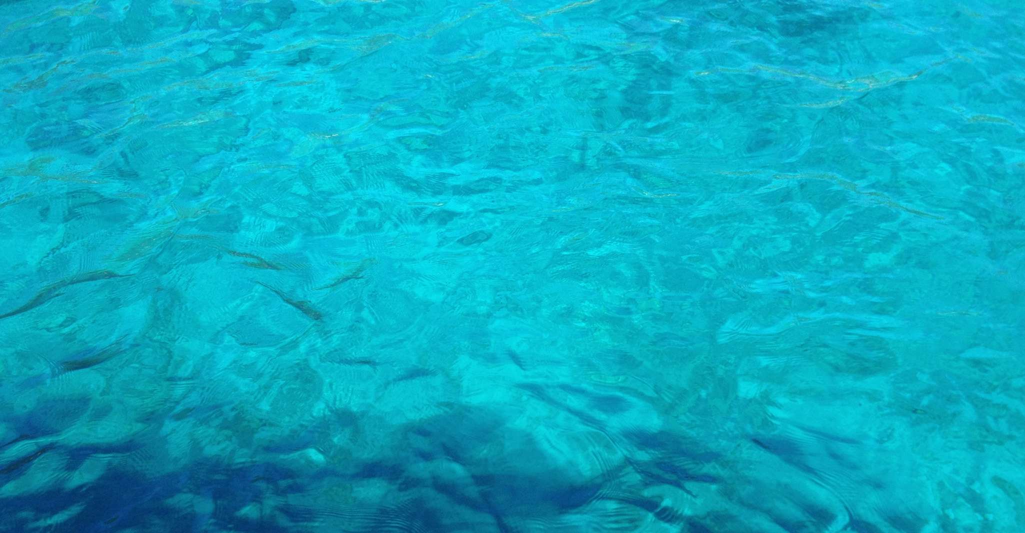 BODRUM, viaggio subacqueo incluso il pranzo - Housity