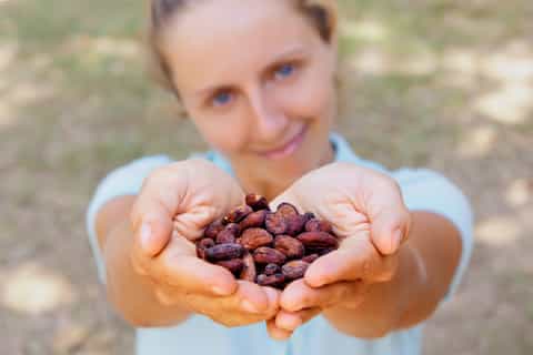 San Jose: Private Chocolate Tour & Arenal Hot Springs