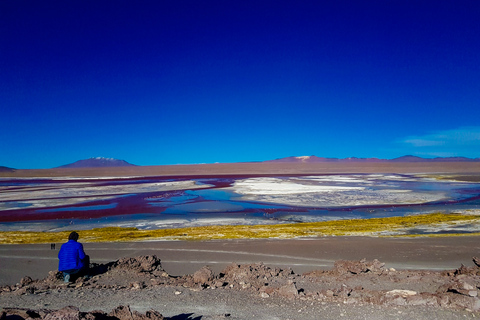 La Paz: tour in autobus di 5 giorni delle saline di Uyuni e di Isla Incahuasi